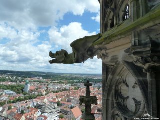 Gargoyles am Münster