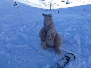 Captain Kangaroo mitten im Schnee